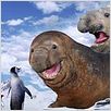 Happy Feet: rompiendo el hielo : photo George Miller