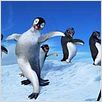 Happy Feet: rompiendo el hielo : photo George Miller