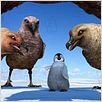 Happy Feet: rompiendo el hielo : photo George Miller