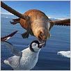 Happy Feet: rompiendo el hielo : photo George Miller