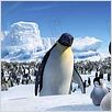 Happy Feet: rompiendo el hielo : photo George Miller