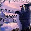 Happy Feet: rompiendo el hielo : photo George Miller