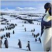 Happy Feet: rompiendo el hielo : photo George Miller