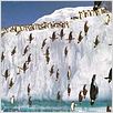 Happy Feet: rompiendo el hielo : photo George Miller