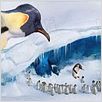 Happy Feet: rompiendo el hielo : photo George Miller