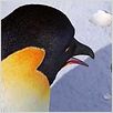 Happy Feet: rompiendo el hielo : photo George Miller