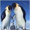 Happy Feet: rompiendo el hielo : photo George Miller