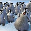 Happy Feet: rompiendo el hielo : photo George Miller