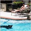 Borat: El segundo mejor reportero del glorioso país Kazajistán viaja a América : photo Larry Charles, Sacha Baron Cohen