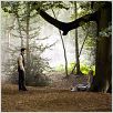 Stardust : photo Charlie Cox, Claire Danes, Matthew Vaughn