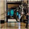 Noche en el museo : photo Ben Stiller, Shawn Levy