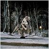 Noche en el museo : photo Shawn Levy