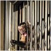 Noche en el museo : photo Shawn Levy