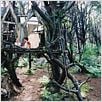 Un puente hacia Terabithia : photo AnnaSophia Robb, Gabor Csupo, Josh Hutcherson