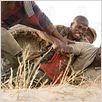 Diamante de sangre : photo Djimon Hounsou, Edward Zwick