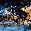 Starship Troopers (Las brigadas del espacio) : photo Paul Verhoeven