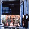 007 Licencia para matar : photo Ian Fleming, John Glen, Timothy Dalton