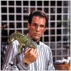 007 Licencia para matar : photo