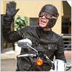 Cerdos salvajes (con un par... de ruedas) : photo Walt Becker, William H. Macy