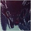 Aliens vs. Predator - Requiem : photo Colin Strause