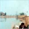 La anguila : photo Koji Yakusho, Shohei Imamura