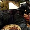 Halloween: el origen : photo Rob Zombie