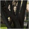 Halloween: el origen : photo Rob Zombie