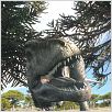 Dinosaurios Alive : photo Marc Fafard