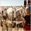 Astérix en los Juegos Olímpicos : photo Clovis Cornillac, Frédéric Forestier, Thomas Langmann