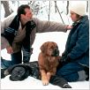 Un plan sencillo : photo Bill Paxton, Billy Bob Thornton, Sam Raimi