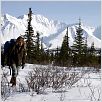 Hacia rutas salvajes : photo Emile Hirsch, Sean Penn