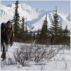 Hacia rutas salvajes : photo Emile Hirsch, Sean Penn