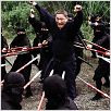 Glory to the Filmmaker! : photo Takeshi Kitano