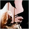 Los pájaros : photo Alfred Hitchcock, Tippi Hedren