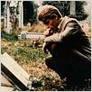 Chacal : photo Edward Fox, Fred Zinnemann