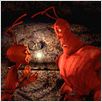 Antz, Hormigaz : photo Eric Darnell