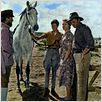 Tres vidas errantes : photo Deborah Kerr, Fred Zinnemann, Michael Anderson Jr., Peter Ustinov, Robert Mitchum