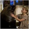 La isla de Nim : photo Abigail Breslin, Jennifer Flackett, Mark Levin