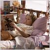 La isla de Nim : photo Abigail Breslin, Jennifer Flackett, Mark Levin