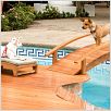 Un chihuahua en Beverly Hills : photo Raja Gosnell