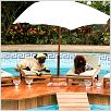 Un chihuahua en Beverly Hills : photo Raja Gosnell