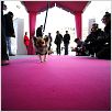 Un chihuahua en Beverly Hills : photo Raja Gosnell