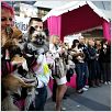 Un chihuahua en Beverly Hills : photo Raja Gosnell