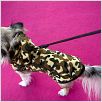 Un chihuahua en Beverly Hills : photo Raja Gosnell