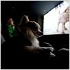 Un chihuahua en Beverly Hills : photo Raja Gosnell