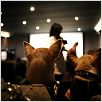 Un chihuahua en Beverly Hills : photo Raja Gosnell