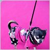 Un chihuahua en Beverly Hills : photo Raja Gosnell