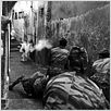 La batalla de Argel : photo Gillo Pontecorvo