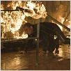 007 Quantum of Solace : photo Daniel Craig, Marc Forster
