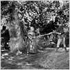 Robin de los Bosques : photo Errol Flynn, Michael Curtiz